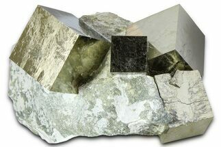 Five Gleaming Pyrite Cubes In Rock - Navajun, Spain #361777