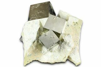 Museum Quality Pyrite Cube Cluster In Matrix - Spain #361788