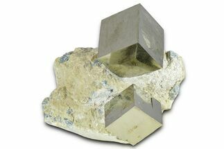 Two Natural Pyrite Cubes In Rock - Navajun, Spain #361861