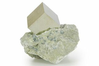 Natural Pyrite Cube In Rock - Navajun, Spain #361819