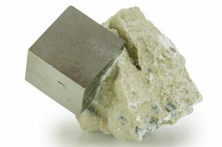 Natural Pyrite Cube In Rock - Navajun, Spain #361835