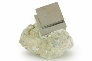 Natural Intertwined Pyrite Cube Cluster In Rock - Navajun, Spain #361829