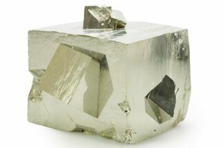 Shiny, Natural Pyrite Cube Cluster - Navajun, Spain #361922