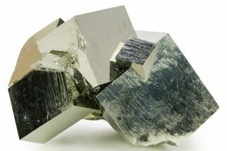 Shiny, Natural Pyrite Cube Cluster - Navajun, Spain #361932