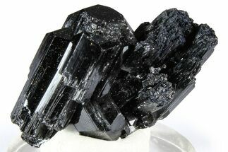 Lustrous Black Tourmaline (Schorl) Crystal Cluster - Namibia #361649