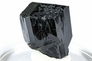 Lustrous Black Tourmaline (Schorl) Crystal - Namibia #361659