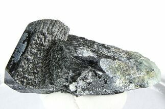 Lustrous Black Tourmaline (Schorl) Crystal Cluster - Namibia #361670