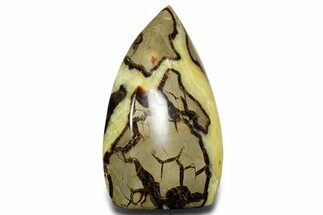 Free-Standing Polished Septarian - Madagascar #361963