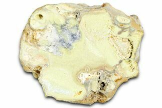 Clay Canyon Crandallite and Wardite - Old Collection Stock #361995