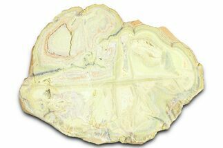 Clay Canyon Crandallite and Wardite - Old Collection Stock #361999