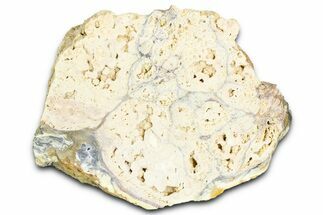 Clay Canyon Crandallite and Wardite - Old Collection Stock #362045