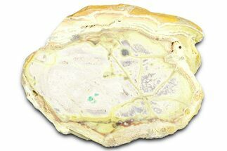 Clay Canyon Crandallite, Wardite & Variscite #362050