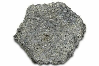 Fossil Glyptodont (Glyptotherium) Bony Armor Osteoderm - Florida #362339