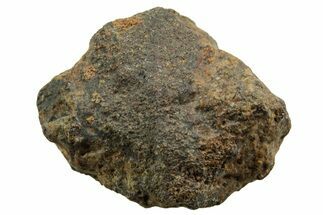 Howardite Meteorite ( g) - Bechar #348397