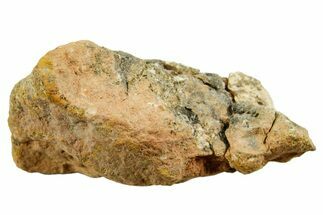 Howardite Meteorite ( g) - Bechar #348425