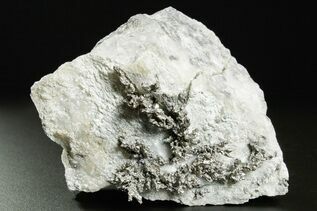 Buy Native Silver