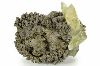 Glossy Yellow Calcite Crystals on Brassy Chalcopyrite - Missouri #362891