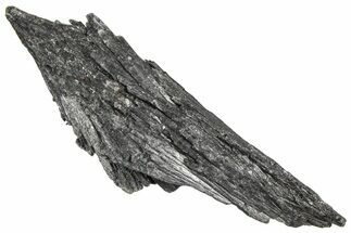 Intricate Black Kyanite Crystal Fan - Brazil #362699