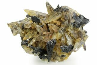 Black Tourmaline (Schorl) Crystal Cluster with Quartz - Namibia #363672
