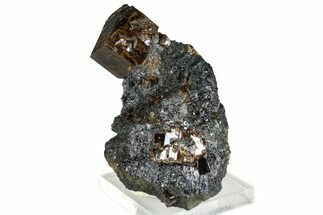 Fluorescent Zircon Crystals and Magnetite in Biotite Schist - Norway #363858