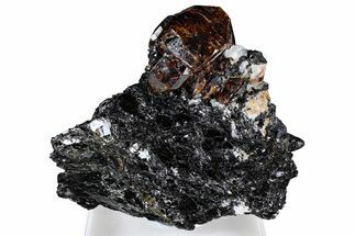 Fluorescent Zircon Crystals and Magnetite in Biotite Schist - Norway #363869