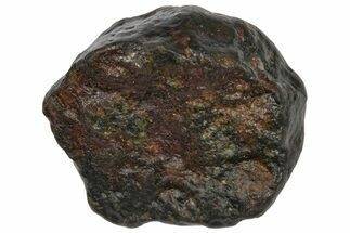 Carbonaceous Chondrite Meteorite ( g) - NWA #334424