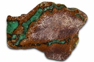 Polished Green Chrysoprase Section - Western Australia #364243