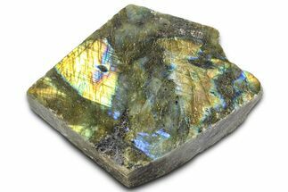 Single Side Polished Labradorite Section - Madagascar #364267
