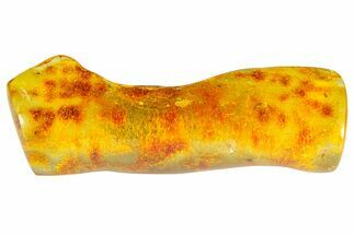 Polished Colombian Copal ( g) - Contains Spider & Flies! #364284