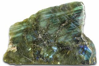 Single Side Polished Labradorite Section - Madagascar #364288