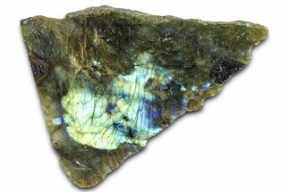 Single Side Polished Labradorite Section - Madagascar #364290