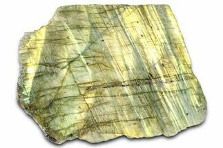 Single Side Polished Labradorite Section - Madagascar #364294