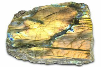 Single Side Polished Labradorite Section - Madagascar #364296