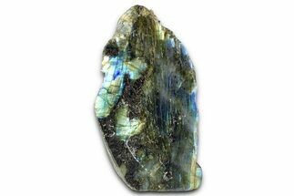 Single Side Polished Labradorite Section - Madagascar #364301