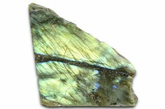 Single Side Polished Labradorite Section - Madagascar #364311