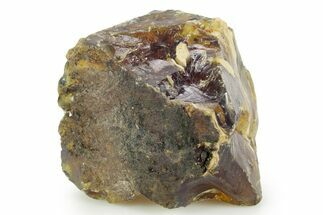 Rough Blue Indonesian Amber - Indonesia #359650