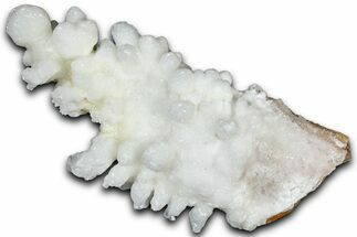 Sparkling Calcite/Aragonite Stalactite Formation - China #364511