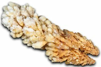 Sparkling Calcite/Aragonite Stalactite Formation - China #364514