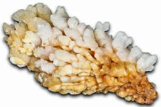 Sparkling Calcite/Aragonite Stalactite Formation - China #364549