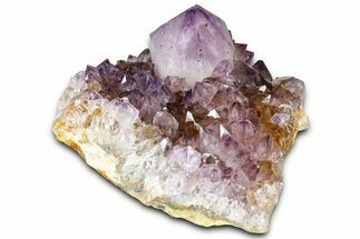 Sparkling Cactus Amethyst Crystal Cluster - South Africa #364619