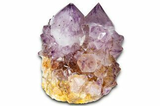 Deep-Purple Cactus Amethyst Crystal Cluster - South Africa #364621