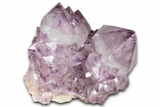 Deep-Purple Cactus Amethyst Crystal Cluster - South Africa #364624