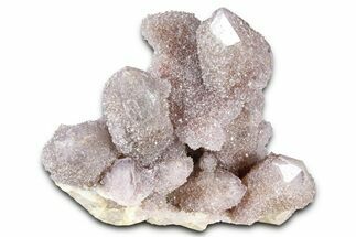 Sparkling Druzy Cactus Amethyst Crystal Cluster - South Africa #364629