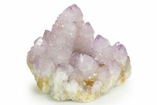 Sparkling Cactus Amethyst Crystal Cluster - South Africa #364567