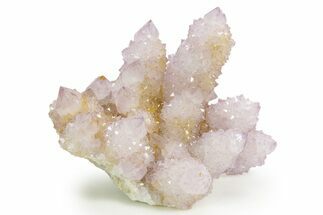 Sparkling Cactus Amethyst Crystal Cluster - South Africa #364568