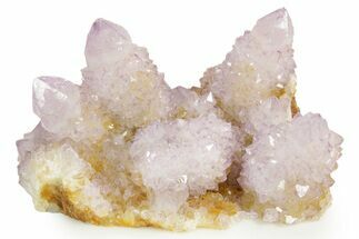Sparkling Cactus Amethyst Crystal Cluster - South Africa #364570