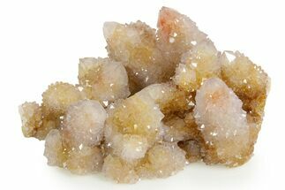 Sparkling Cactus Amethyst Crystal Cluster - South Africa #364571