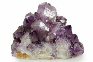 Deep-Purple Cactus Amethyst Crystal Cluster - South Africa #364576
