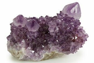 Deep-Purple Cactus Amethyst Crystal Cluster - South Africa #364581