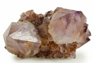 Deep-Purple Cactus Amethyst Crystal Cluster - South Africa #364583